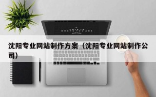 吐鲁番沈阳专业网站制作方案（沈阳专业网站制作公司）